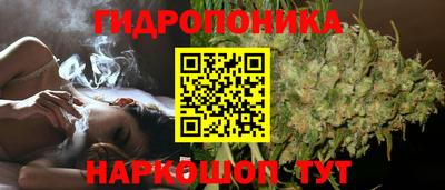 прущие крисы Балашиха